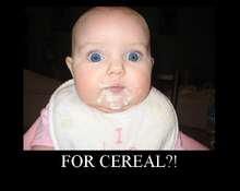 Cereal