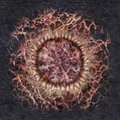 Xen mound.png
