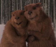 MrMrsBeaver
