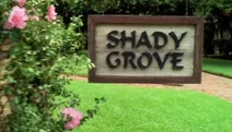 Shady Grove