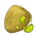 Bean Seed