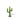 Cactus03