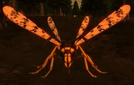 Wasp01