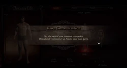 Pawn Customisation