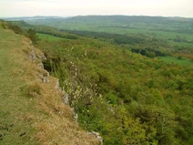 The Wall