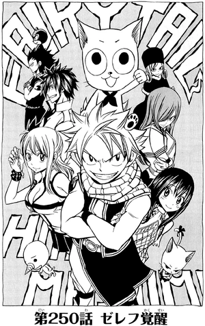 Cover 250