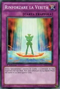 ReinforceTruth-YS11-IT-C-1E