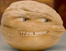 Walnut