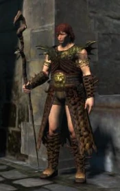 WikiHeresyArmorSet