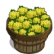 Mustard Bushel-icon
