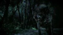 3x01were