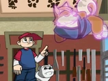 Master Inu Appearance