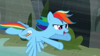 Rainbow Dash flying 3 S2E07