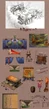 Mushroom-rock-concepts-ffx