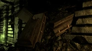 Exposed coffins