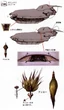 Fahrenheit-concepts2-ffx