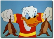49210