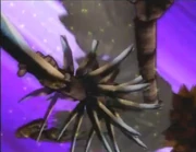Crow Drill1