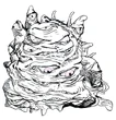 Amano Eyemoeba