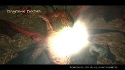 Dragon3