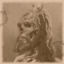 Zombie cephalopod