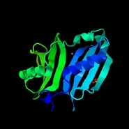 4EXR.pdb