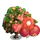 Grenada Pomegranate Tree-icon
