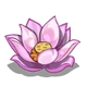 Lotus Flower 2-icon