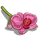 Pink Orchid-icon