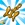 Gold Anchor-viral