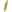 Medalla Trío