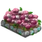 Peony Flowerbed-icon