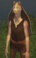 MarshooGCW.jpg