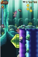 Coralcave.7