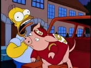 Pig biting homer