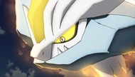 P15 Kyurem Blanco (2)