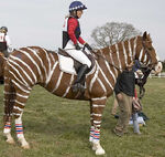 Zorse1