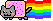 PoptartCat