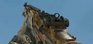 MK14 Autumn MW3