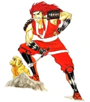 Fuuma-j