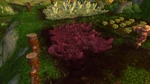 RedLettuce
