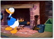 44408