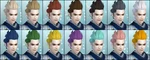 DW6E Male Hair Color Parts
