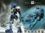 Gali image