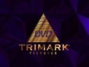 Trimark DVD logo