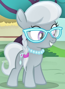 Silver Spoon ID