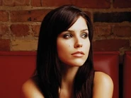 Onetree sophiabush