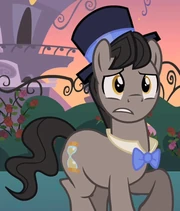 11th whooves