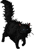 Kinkfur.queen