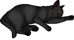Plumwillow.kittypet